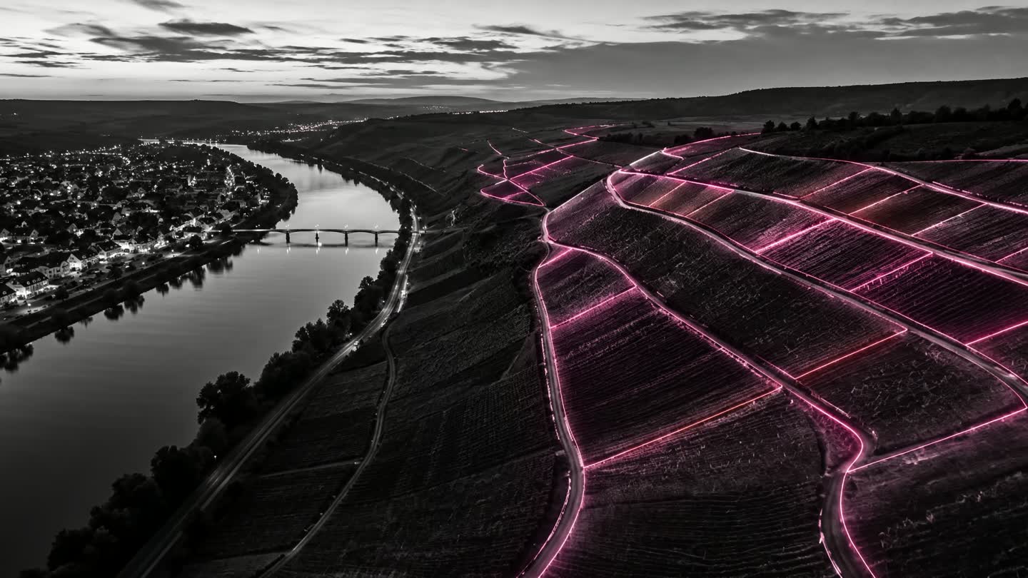 Weinberge am Fluss aus der Luft, die einzelnen Lagen magenta umrissen