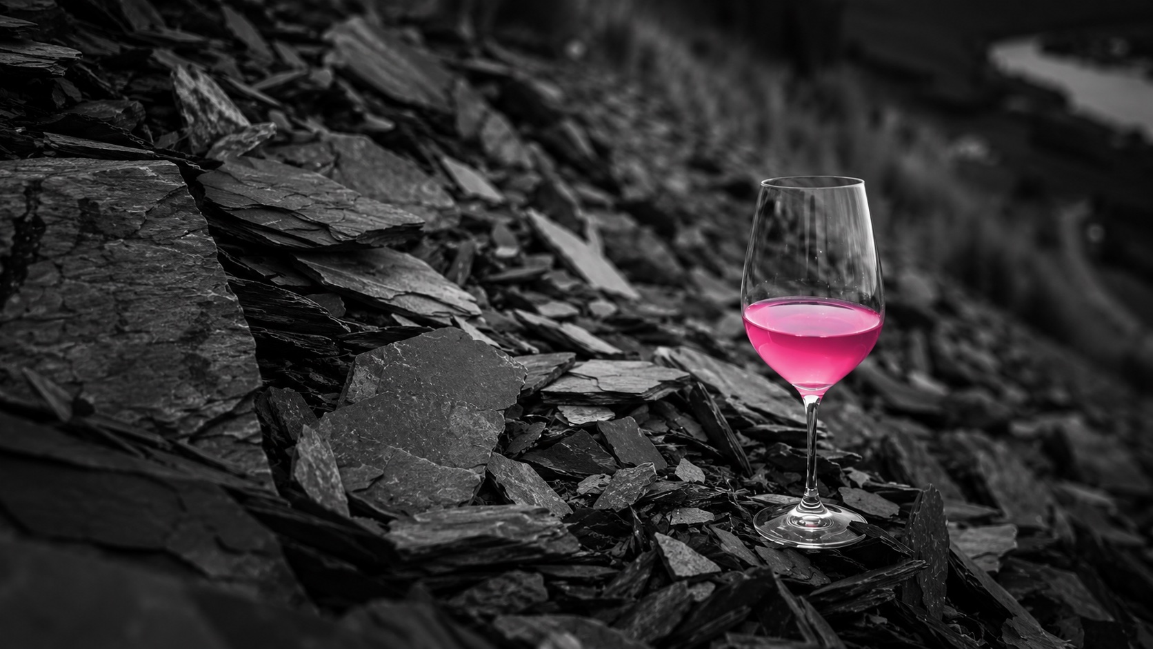 Steile Schiefer-Weinberge an der Mosel im Abendlicht, Schwarzweiß, ein Glas Riesling leuchtet magenta